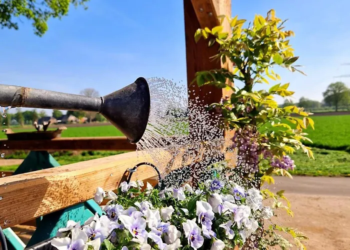 Pipowagen Campsite *