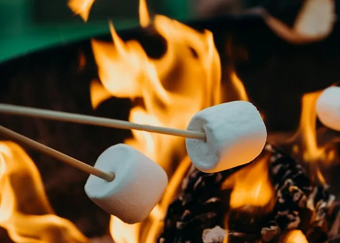 Campsite Pipowagen *